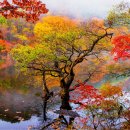 베스트로(주)