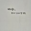 종달차경(메리골드) | 제주동쪽 구좌, 성산 감성 숙소 종달차경 메리골드