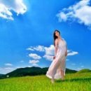 The Heaven 이미지