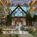 스타일에스 - 목포시 비파로43번길 26 | 대전 그리너리한 야외웨딩 스타일의 “에스가든웨딩 대전” 홀투어 후기