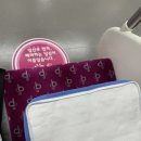 에코동물병원 | 크레스티드 게코 에그 바인딩/무정란/파충류 병원/에코 동물병원 후기