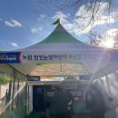 CU 한밭대학생회관점 | 노원구 과기대 씽씽눈썰매장 후기｜주말에 두돌아기랑(주차/썰매꿀팁) + 브리오기차 한달후기