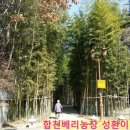 달서구시니어기술창업센터 이미지