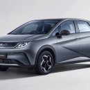 화이트돌핀 이미지