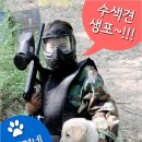 캡틴게임장 이미지