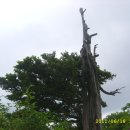 영각사주차장 이미지