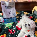 포독포독 | [체험단] 인디고 바이오뉴트리션 하이포알러제닉 포 독 급여후기