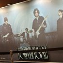 Young전자 | 데이식스 부산콘 후기(+ 부산맛집, 장소 추천)