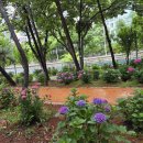 SK강변주유소 이미지