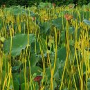 연자농장 이미지