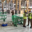 CRANE WORLD 이미지