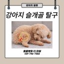 동물병원 더 하임 이미지