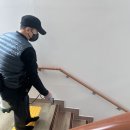 제주방역업체 - 건물 바퀴벌레퇴치, 겨울해충!