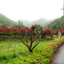 우제길미술관 이미지