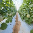 해정농장 이미지