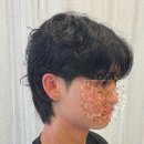 플랜헤어 이미지