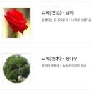 원주금융회계고등학교 | (특성화고/직업) 원주금융회계고등학교 2025 신입생 입학안내, 학교안내