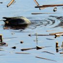 빛가람 호수공원 이미지