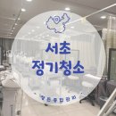 주식회사보담약품 | 서울 서초 방배동 정기청소 사무실청소 꼼꼼하게 챙기세요