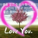 성인용품소매점 이미지