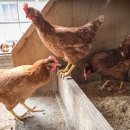 박태호농장 이미지