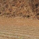 미천면-2 이미지