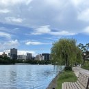 오늘김밥 엔 커피(타코야끼) | 2025년 여름휴가, 후쿠오카 여행기 5일차 (마지막날)