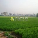 송용리1 이미지