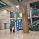 카서비스 | 캘리포니아에서 오신 재미교포 가족,인천공항 픽업부터 평창 알펜시아까지 수행기사포함렌트카 서비스 후기