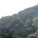 좌구산휴양림 명상의집 | 좌구산 자연휴양림 명상의 집