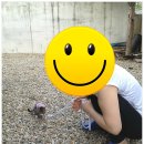 법수농원 이미지