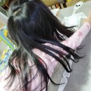 원리가 보이는 과학실험 이미지