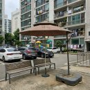 그늘막12 | 그늘막파라솔 정원에서 직접 써본 내구성 검증 후기