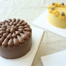 펫푸드스쿨 이미지