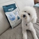 솔루션독 | 이즈칸 독하이포알러제닉솔루션 사료 후기!^^