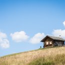 보네르하우스 이미지