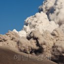 카쥬투어 헤럴드경제