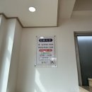 송동물병원 | 광견병 예방접종 지원사업, 진돗개 접종 후기 + 전주 동물병원 정보