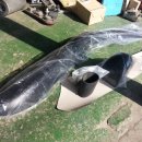 현대카도크 이미지