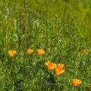 더프라임수학 이미지