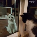 갑죽