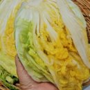 남도맛선