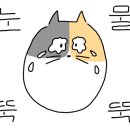 글리밍헤어