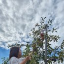 도라산농장 이미지