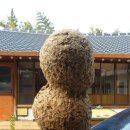 회춘건강원 - 포항시 북구 죽도로40번길 39 | 회춘건강원