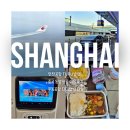 동방부분정비 | 상하이 여행 첫날_인천공항 TURU발렛 / 동방항공 / 푸동공항 디디택시 이용하기