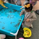 봉구마켓 이미지