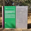 한국사 이야기(강좌번호  18) | 강원도 영월여행 왕과사는남자 단종 유배지 청령포 실시간후기