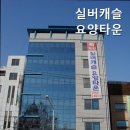 실버캐슬요양타운