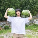 석진농장 이미지